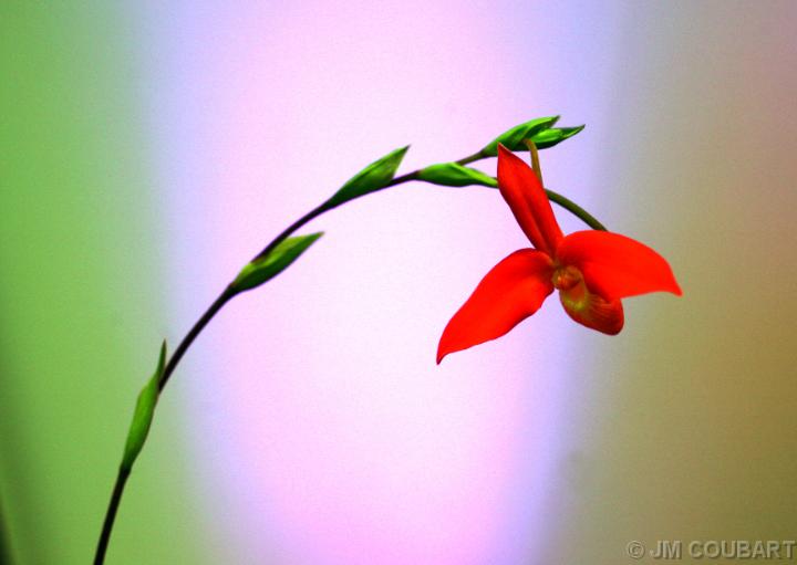 Vous avez atteint la dernire diapositive